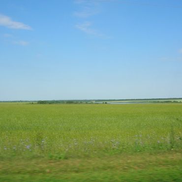 Поселок Совхоза Зеленый Гай