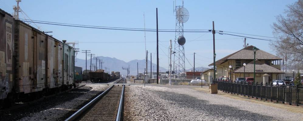 
            Фотография Виллкокса