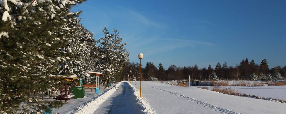 
            Фотография Подросси