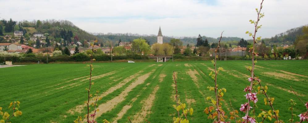 
            Фотография Даньё