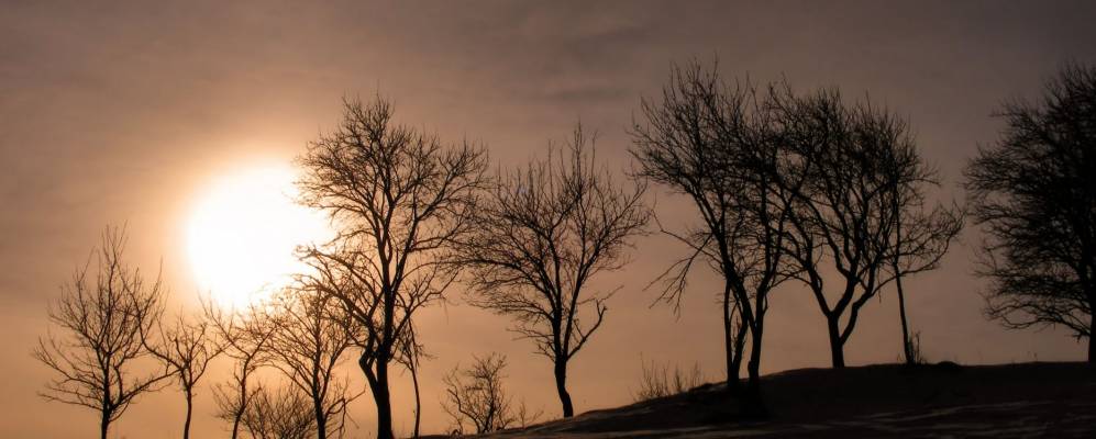 
            Фотография Вишеу-де-Суса