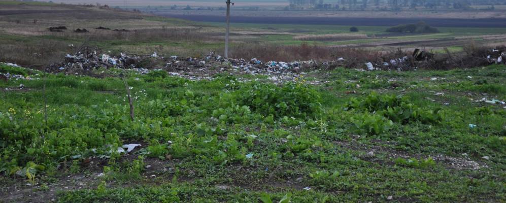 
            Фотография Заболотцы