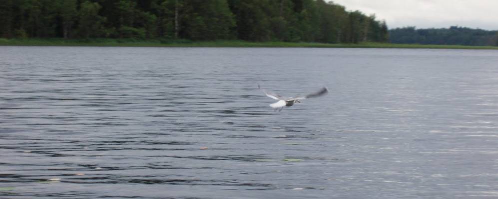 Фотография Высоково