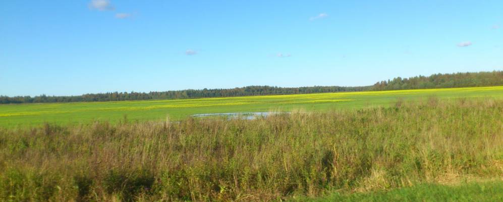 
            Фотография Златыни