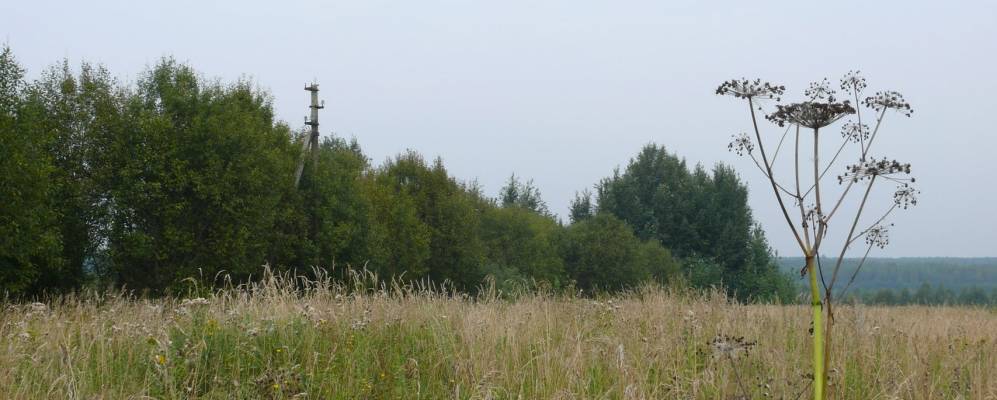 
            Фотография Михайловского