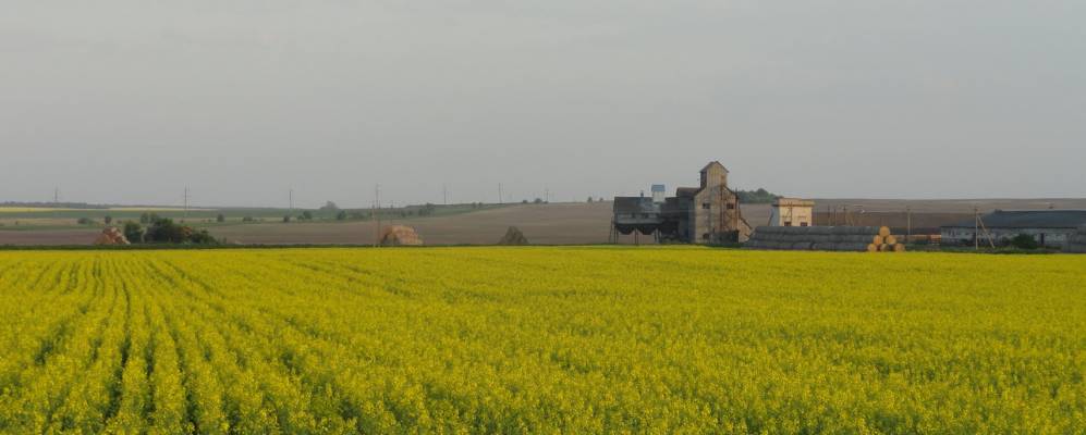 
            Фотография Маковичи