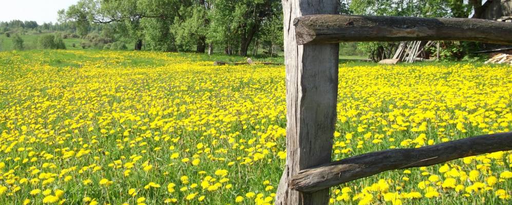 
            Фотография деревни Ракиты