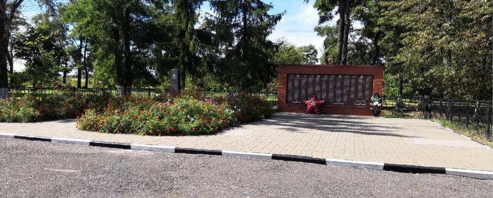 Фотография села Боровки