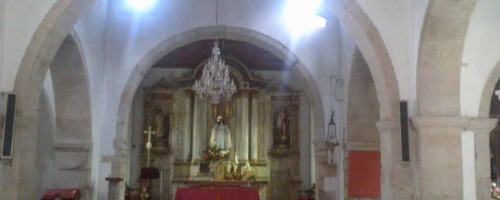 
            Фотография Серво