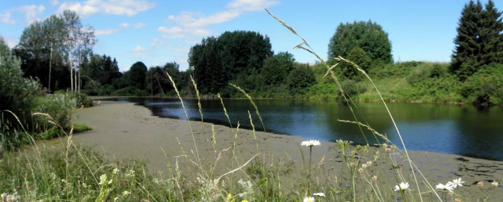 
            Фотография Бугров