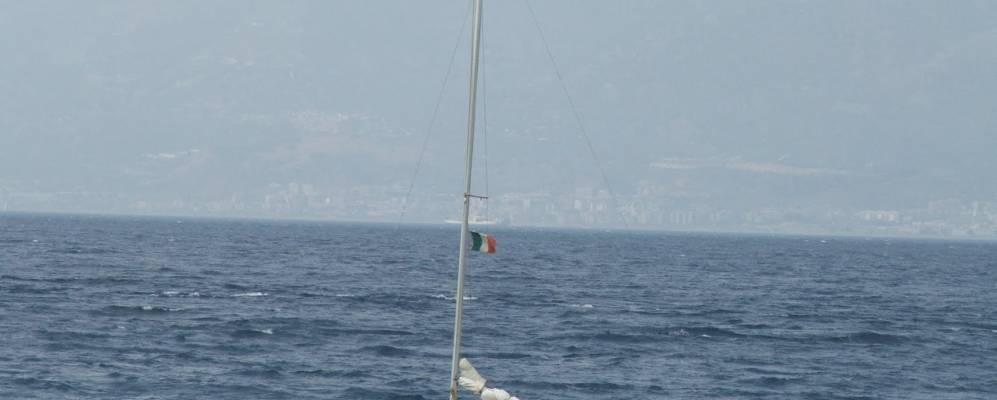 
            Фотография Катоны