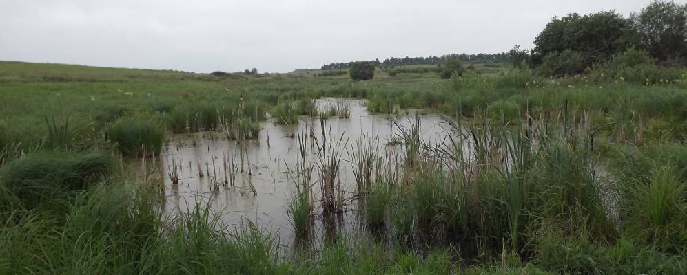 
            Фотография Тёплого