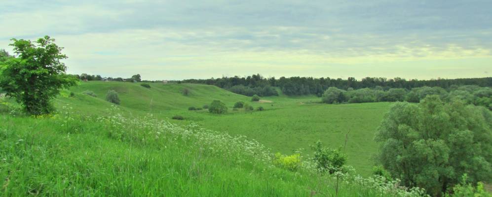 
            Фотография Асеньевского