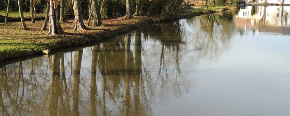 
            Фотография Бутиньи-сюр-Эссонна