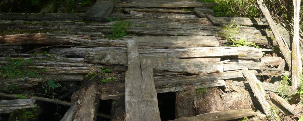 
            Фотография Объединенного