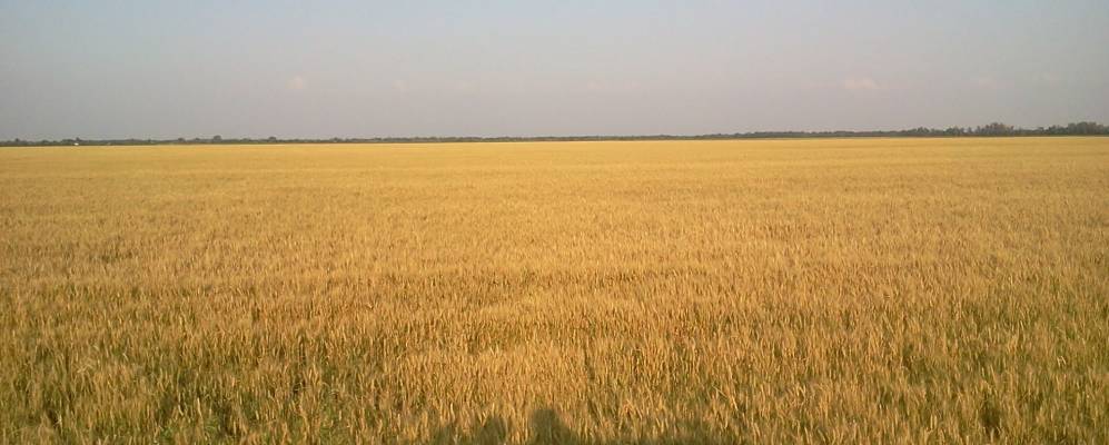 
            Фотография Шевченки