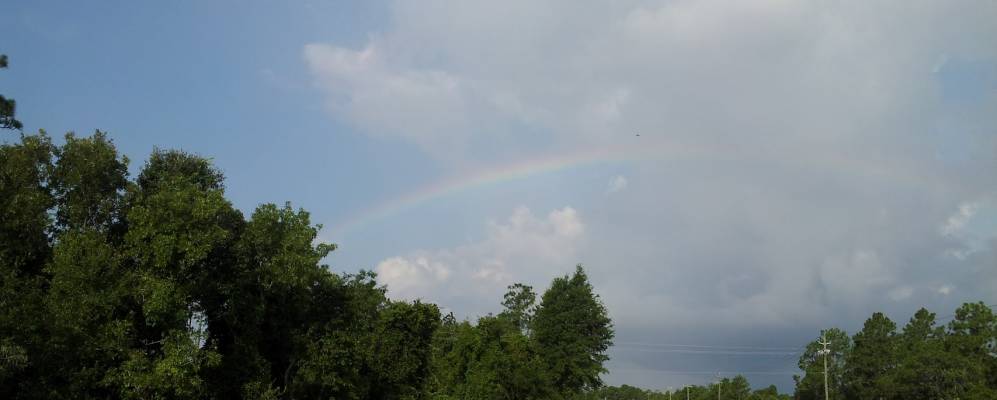 
            Фотография Силвер Лейка