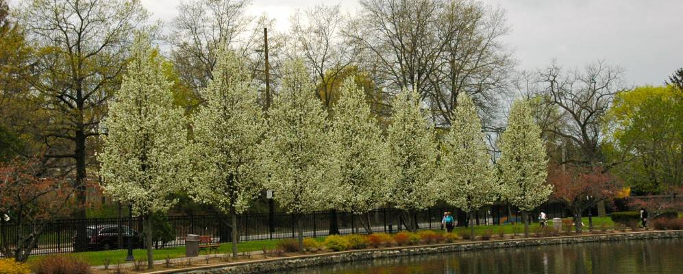 
            Фотография Манхассет Хиллс