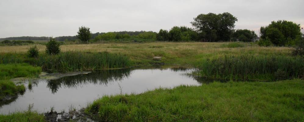 
            Фотография пос. Подсобного Хозяйства Санатория имени Цюрупы