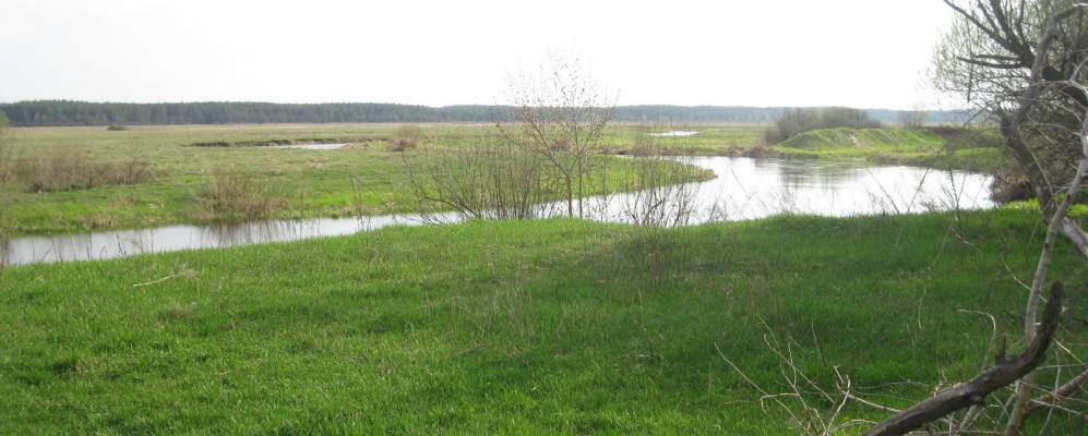 Фотография Липлянщины