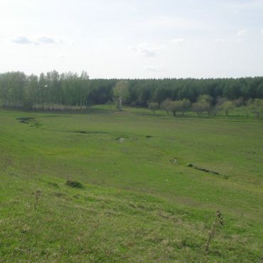 Новое Чурашево