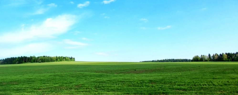 
            Фотография Замараево