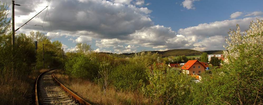 
            Фотография Курима