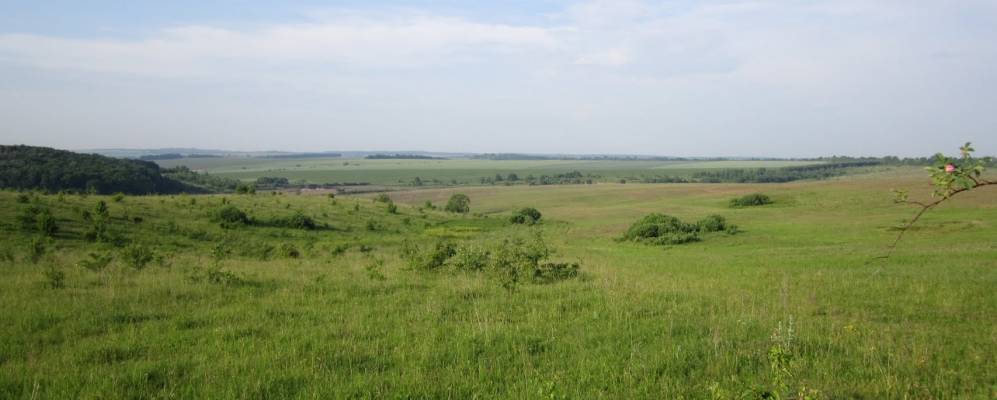 
            Фотография Монастырка