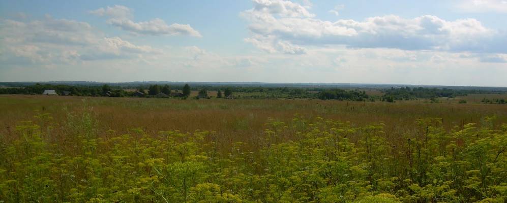 
            Фотография Холма