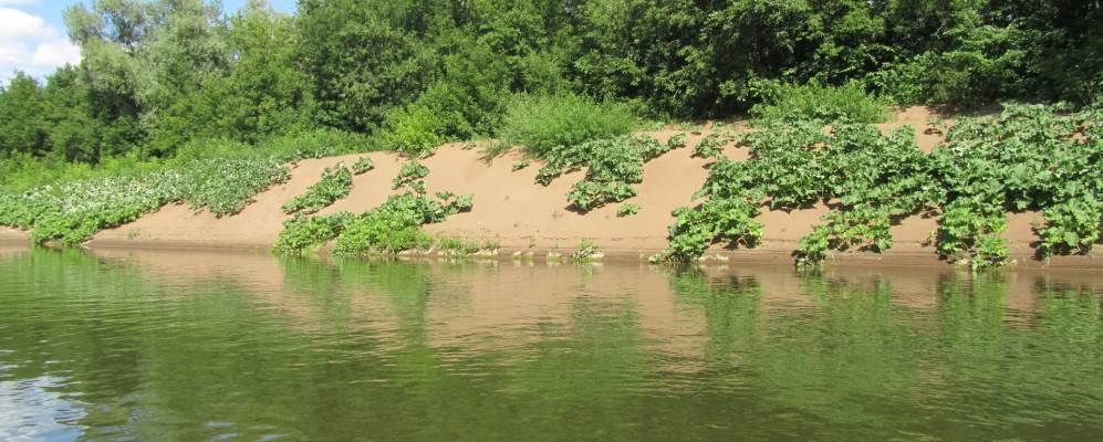 
            Фотография Нового Сарбая