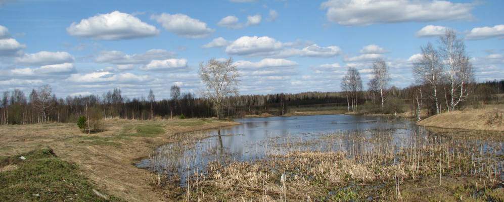 
            Фотография Трехречья