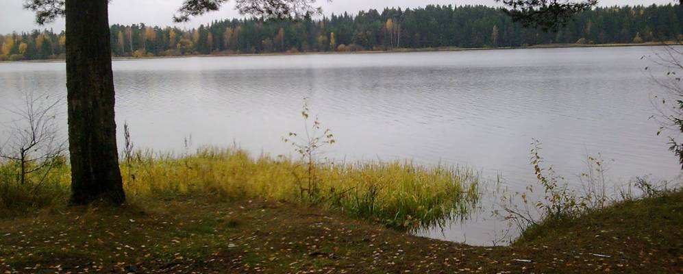 Фотография Горбово