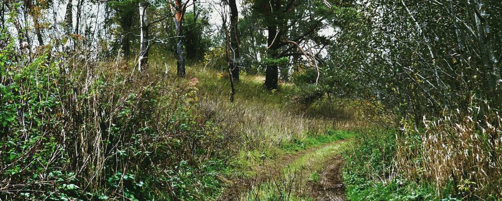 
            Фотография Химино