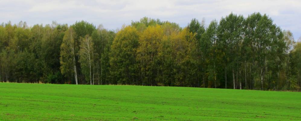 Фотография деревни Свечи