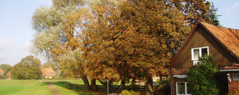 
            Фотография Ходенхагена