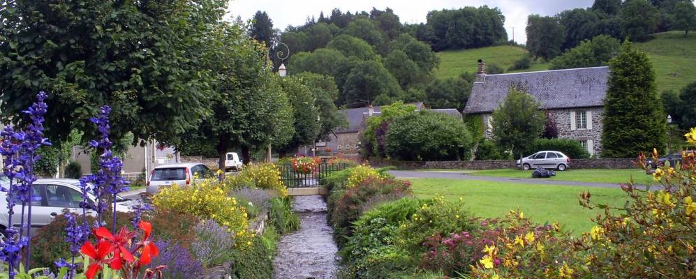 
            Фотография Ида