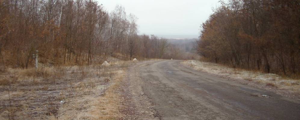 
            Фотография Брагинцы