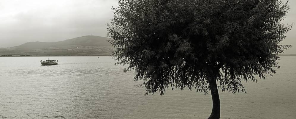 
            Фотография Нове Млыны