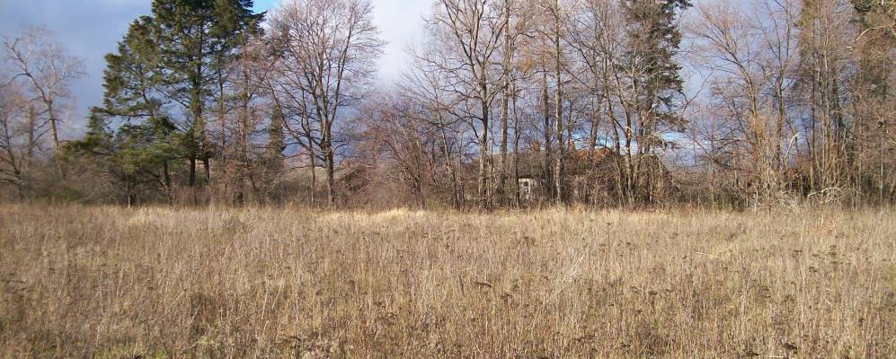 
            Фотография Ярцево