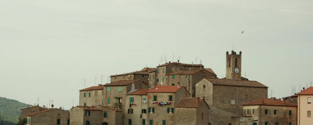 
            Фотография Торниеллы