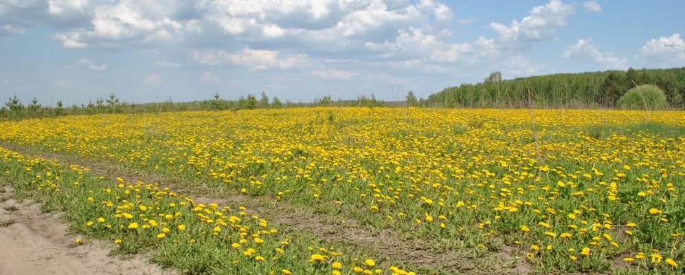 
            Фотография Монастырского