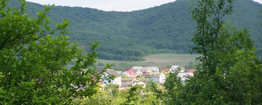 
            Фотография Великие Лазы