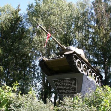 Новоселье (Васьковское сельское поселение)