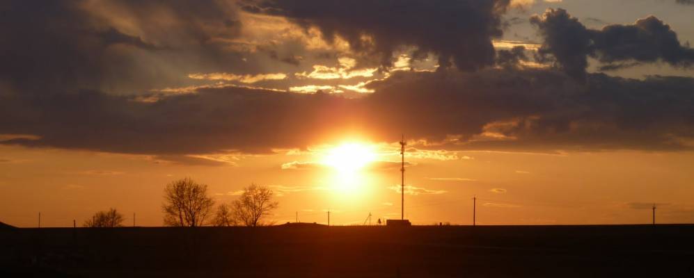 
            Фотография Аневки