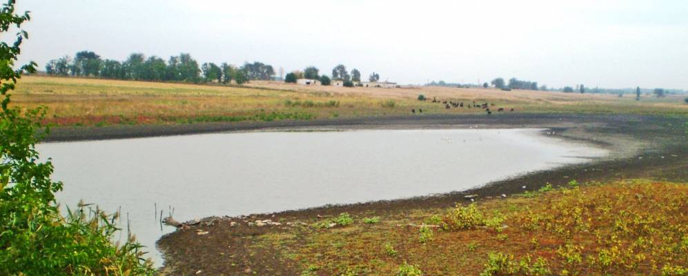 
            Фотография Отрадного