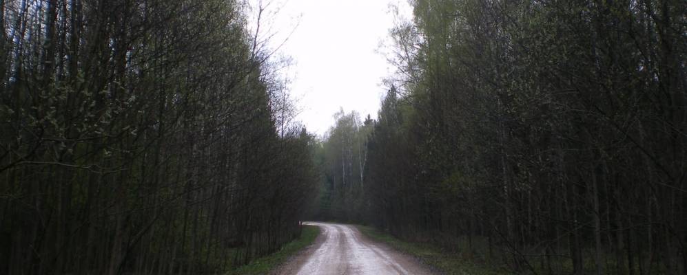 Фотография Сухолома