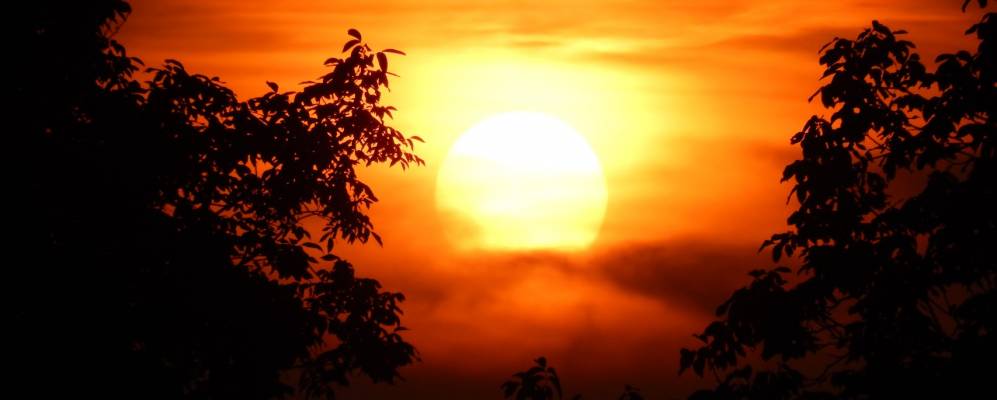 Фотография Орехово