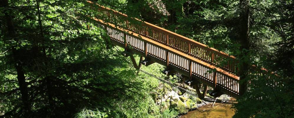 
            Фотография Горвиль