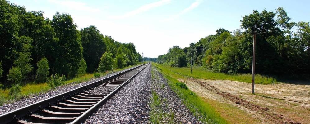 
            Фотография Калинового Гая