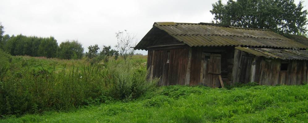 
            Фотография Красной Весны